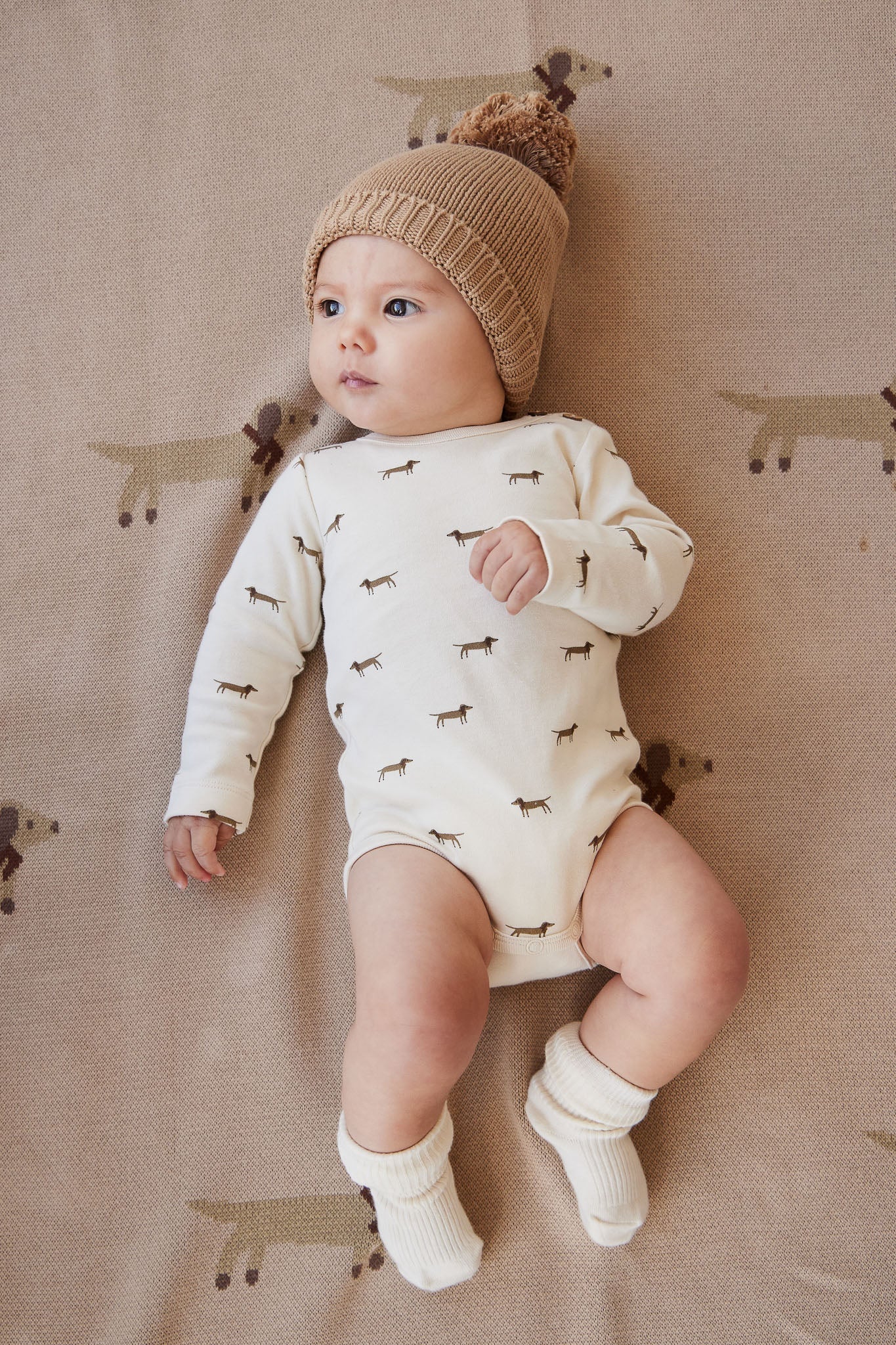 Chaussettes classiques en coton mélangé blanc côtelé avec élasticité douce et finition sans nickel pour nouveau-nés et enfants jusqu'à 8 ans