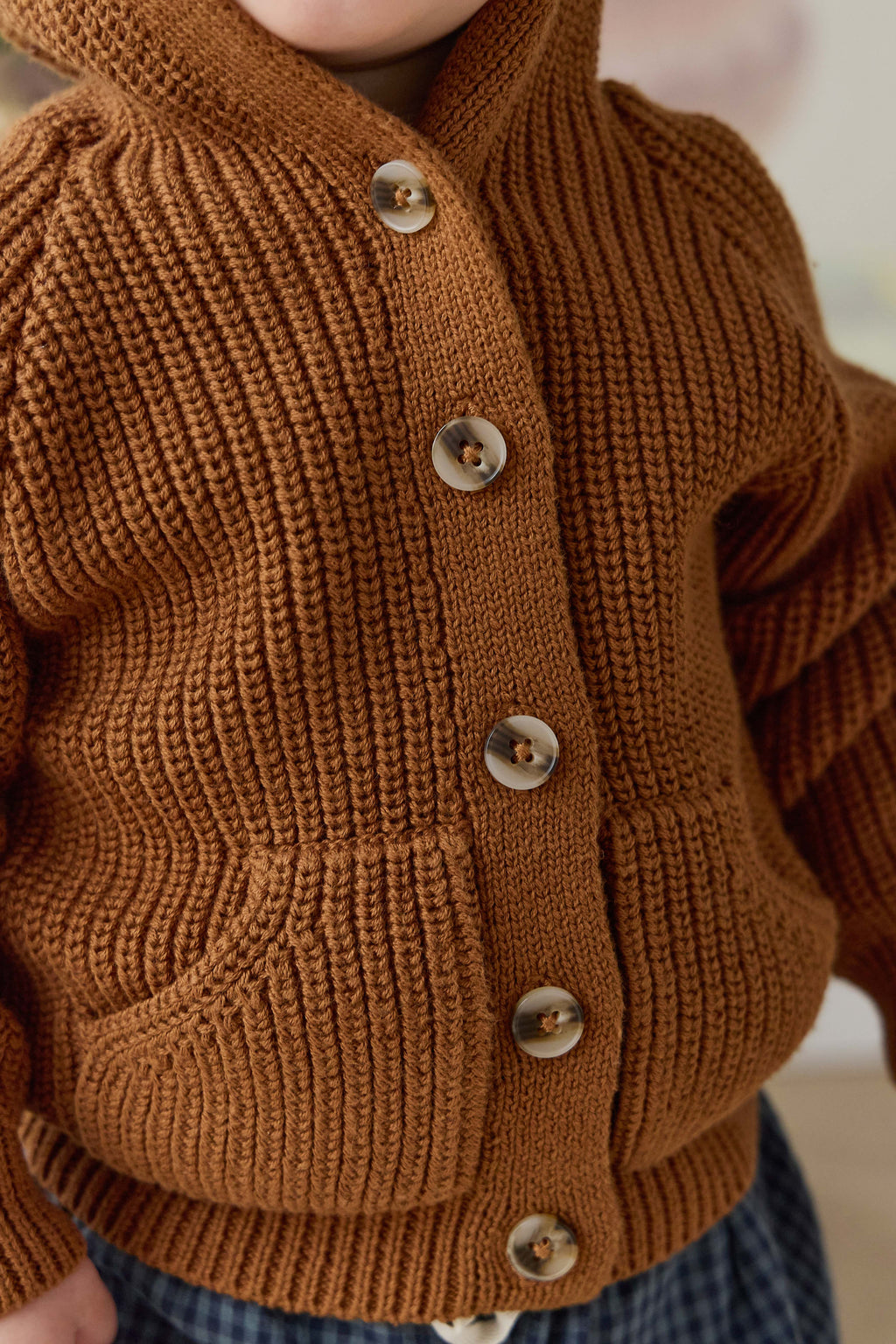 Gilet Doux et Chaud Marron Uni en Coton Tricoté avec Capuche, Détail Oreilles et Boutons pour Enfants 0-6 Ans